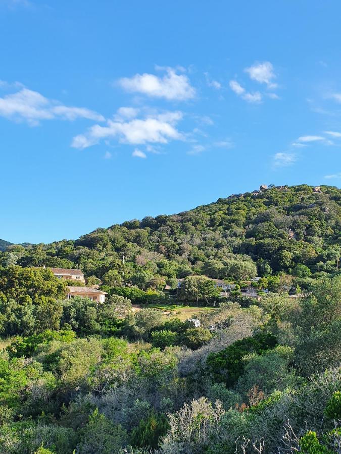 Bel Appartement Dans Hameau Calme Bonifacio  Dış mekan fotoğraf