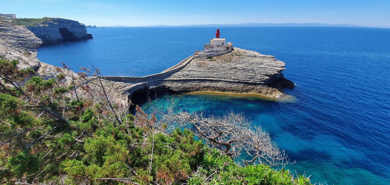 Bel Appartement Dans Hameau Calme Bonifacio  Dış mekan fotoğraf