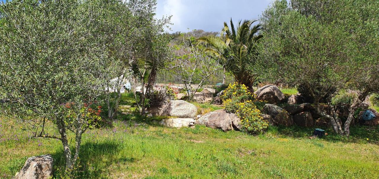 Bel Appartement Dans Hameau Calme Bonifacio  Dış mekan fotoğraf